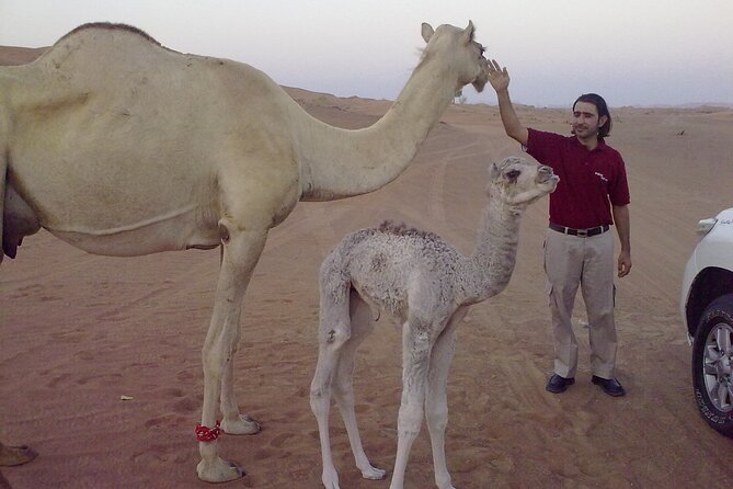 Al Awir Morning Desert Safari Dubai - Directions