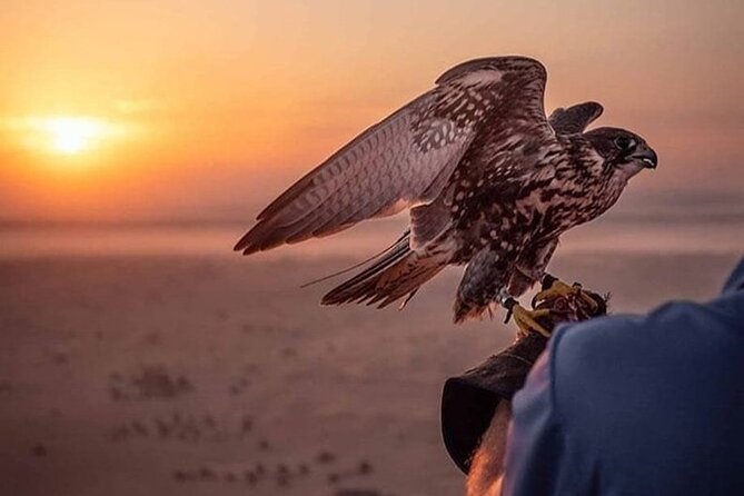 Al Awir Morning Desert Safari Dubai - The Sum Up