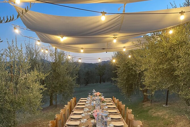 Al Fresco Lunch and Wine Tasting Under the Olive Trees  - Montepulciano - Experience the Tuscan Countryside