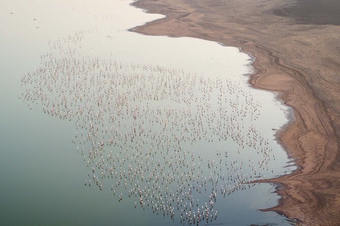 Al Wathba Fossil Dunes, Salt Lake & Wetland Experience Abu Dhabi - Directions
