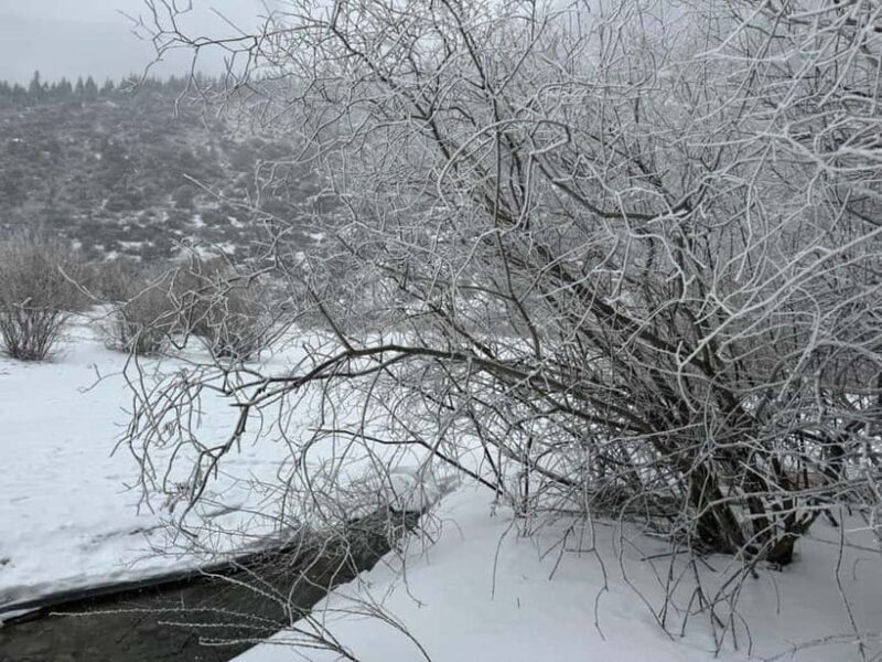 Ala Archa National Park & Chunkurchak Valley Day Tour - The Sum Up: Why Choose This Tour?