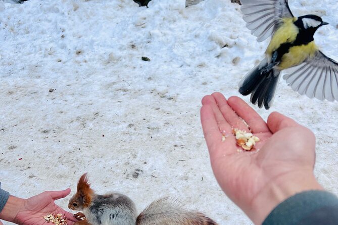 Ala Archa Nature Park and City Tour With Kyrgyz Lunch - Frequently Asked Questions