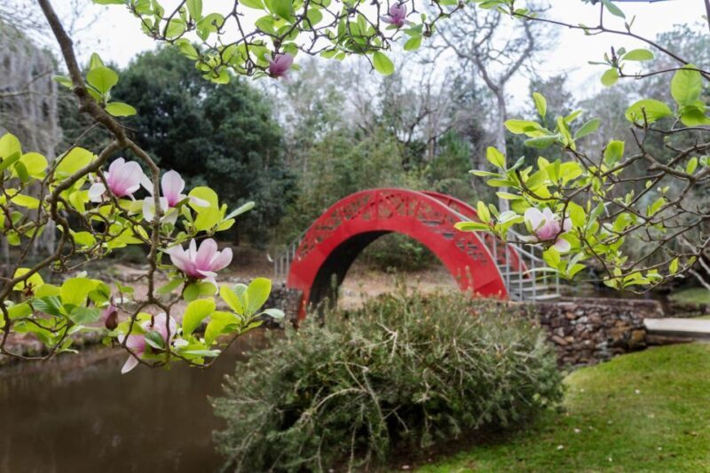 Alabama: 3-Day Mobile City Multi-Attraction Pass - Deep Dive into Each Attraction