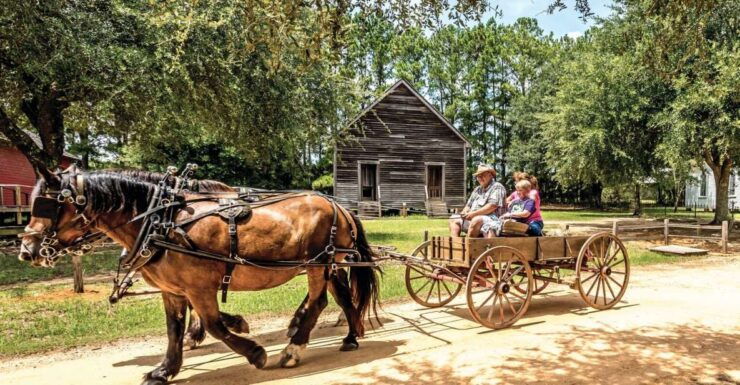 Alabama: Dothan-Eufaula Area Multi-Attraction Pass - Activity Details