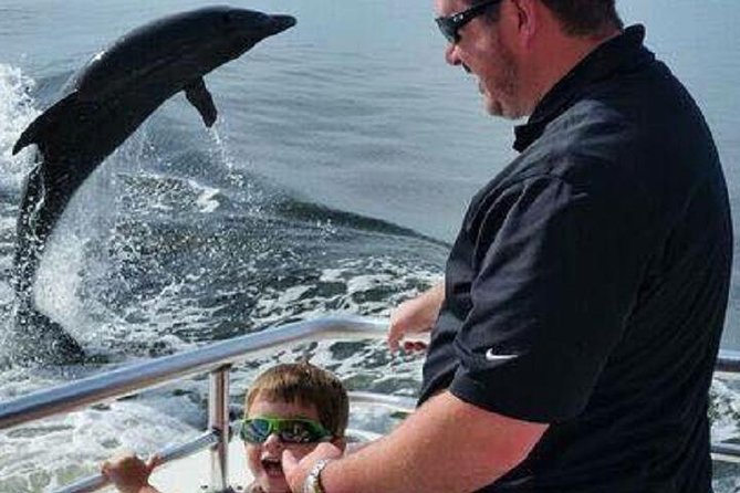 Alabama Gulf Coast Dolphin Cruise - Traveler Photos and Reviews