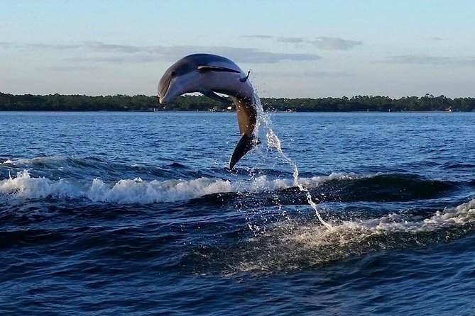 Alabama Gulf Coast Dolphin Cruise - Directions