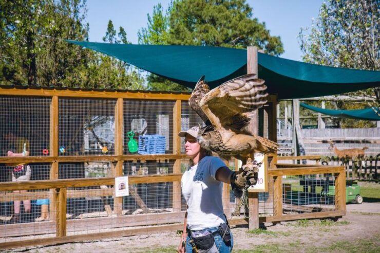 Alabama: Gulf Shores/Orange Beach Area Multi-Attraction Pass - Experience Highlights