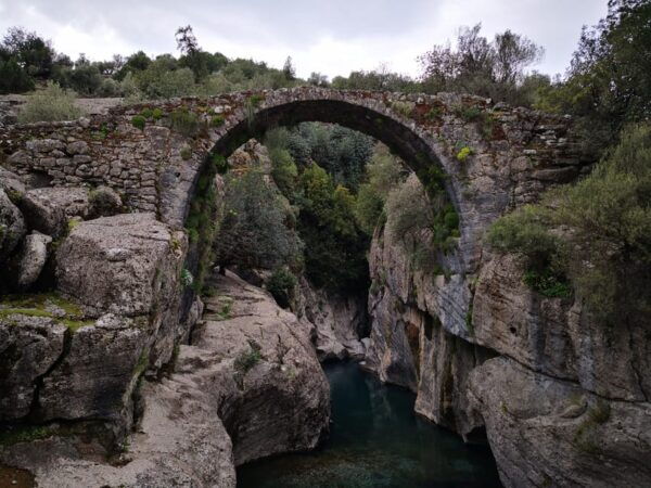 Alanya: Buggy Safari & Rafting Combo Tour - Pricing and Booking