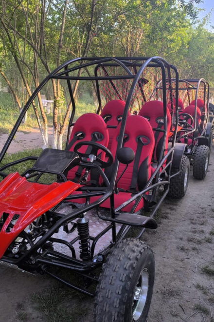 Alanya Buggy Safari: Thrill by River & Muddy Forest - Tour Experience and Highlights