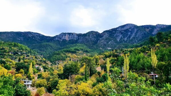 Alanya: Dim Cave and Dimçay River Adventure Tour - Booking Information