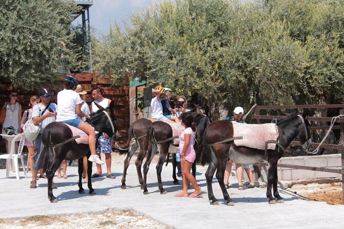 Alanya Donkey Safari and Village Tour With Lunch and Transfer - Directions to Alanya Donkey Safari