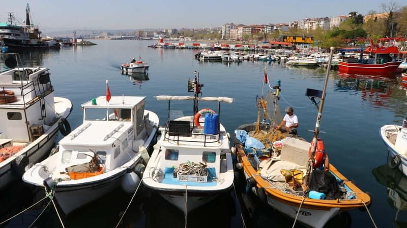 Alanya: Fishing Tour with Lunch and Hotel Transfers - An In-Depth Look at the Alanya Fishing Tour