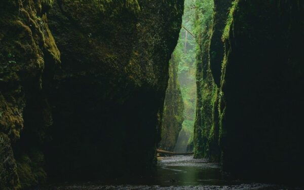 Alanya Green Canyon Boat Tour With Lunch and Swimming Breaks - Best Time to Visit