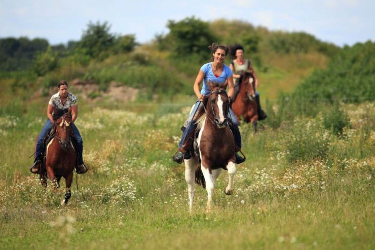 Alanya: Horse Riding Adventure - Activity Details