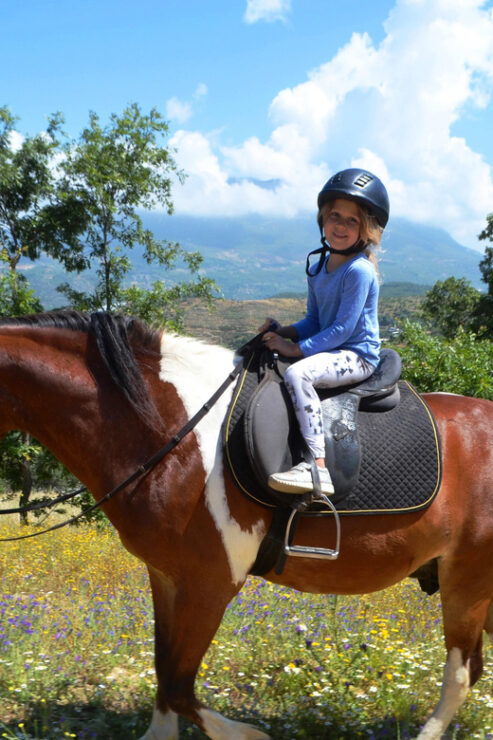 Alanya: Horse Riding Club Transfer Service - Pricing and Payment Options