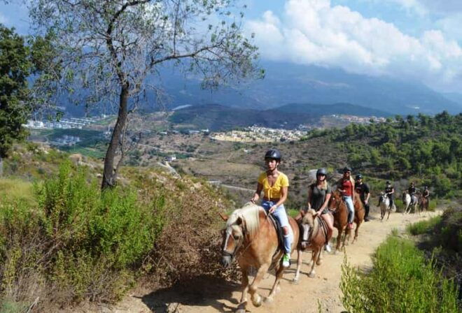 Alanya: Horse Riding Club Transfer Service - Transportation Details