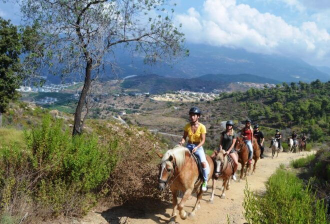 Alanya: Horse Riding Club Transfer Service - Participant Requirements
