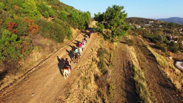 Alanya: Horse Riding Club Transfer Service - Recommended Items to Bring