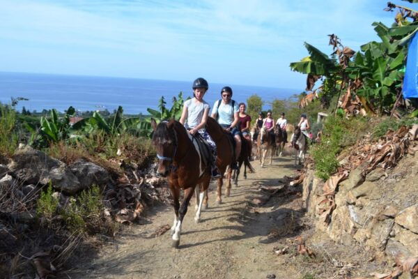 Alanya: Horse Riding Club Transfer Service - Booking Process and Cancellation