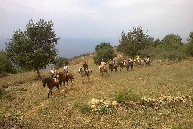 Alanya Horse Riding Experience - An In-Depth Look at the Alanya Horse Riding Experience