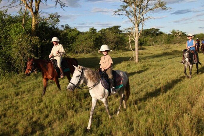 Alanya Horse Riding Experience - The Sum Up
