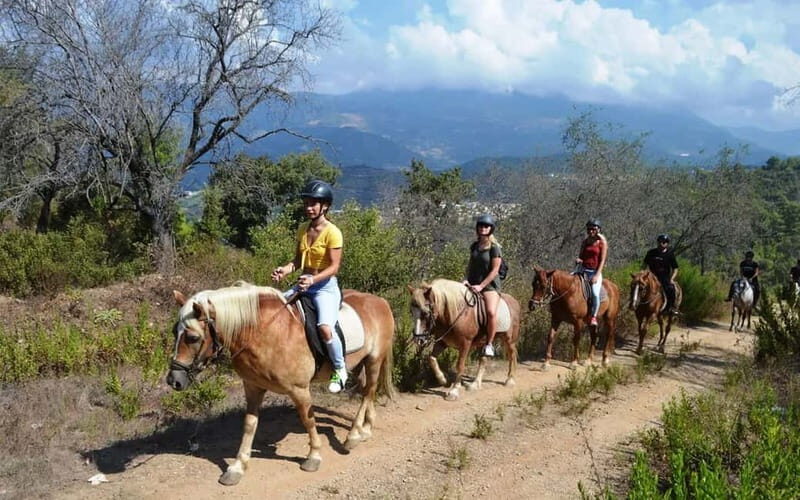 Alanya: Horse Riding Tour with Hotel Transfers - Logistics and Price