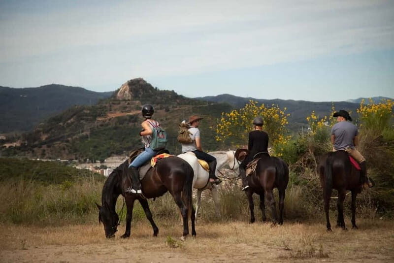 Alanya: Horse Riding Tour with Hotel Transfers - Who Is This Tour Best Suited For?