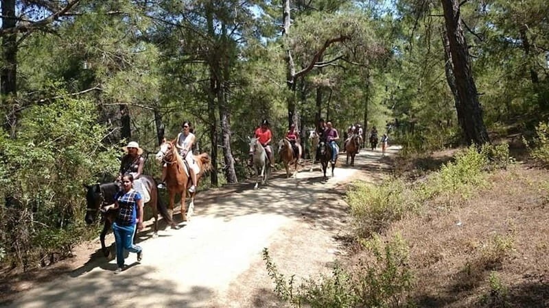 Alanya: Horseback Ride Through Nature near Syedra Ruins - Good To Know