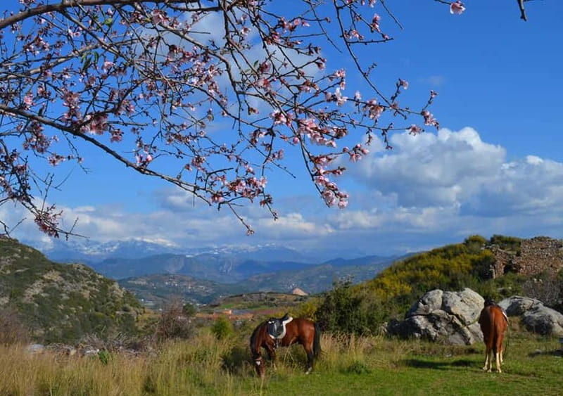 Alanya: Horseback Ride Through Nature near Syedra Ruins - What Makes This Tour Stand Out?