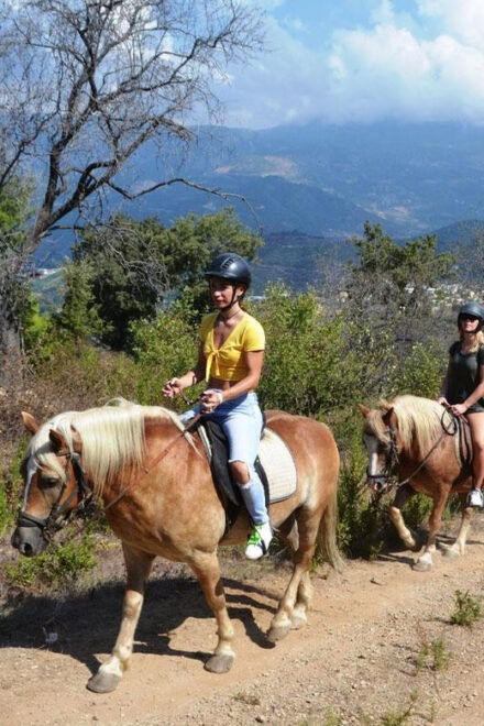 Alanya: Private Horse Safari - Tour Inclusions and Options