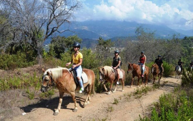 Alanya: Private Horse Safari - Booking Process and Availability