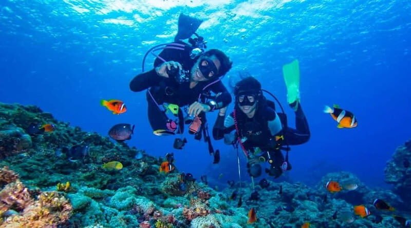 Alanya: Scuba Diving Adventure for Beginners & Professionals - What to Expect from the Alanya Scuba Diving Tour