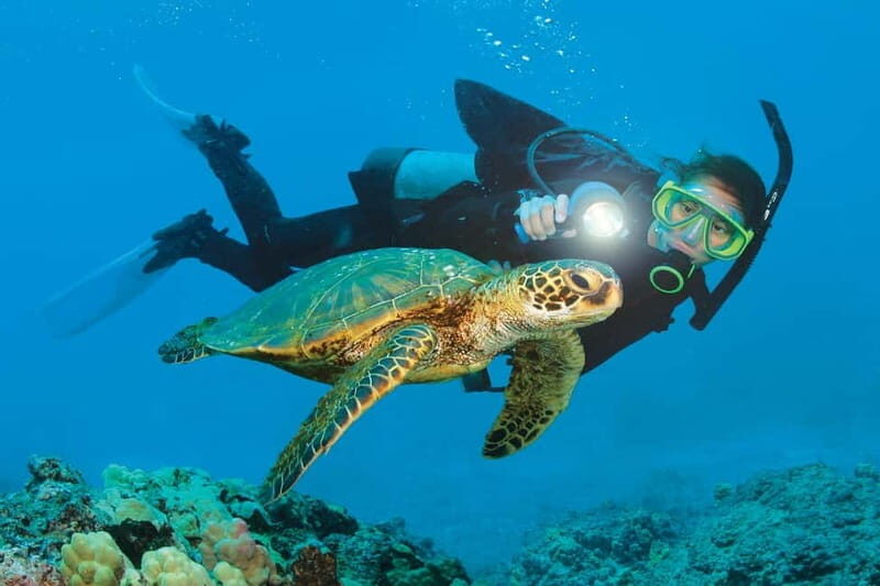 Alanya: Scuba Diving Adventure for Beginners & Professionals - Real Experiences from Travelers