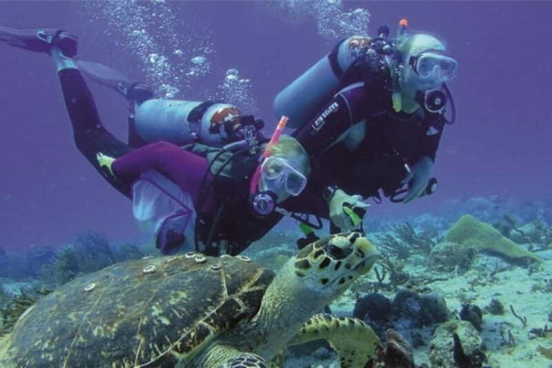 Alanya: Scuba Diving Adventure for Beginners & Professionals - Who Should Consider This Tour?