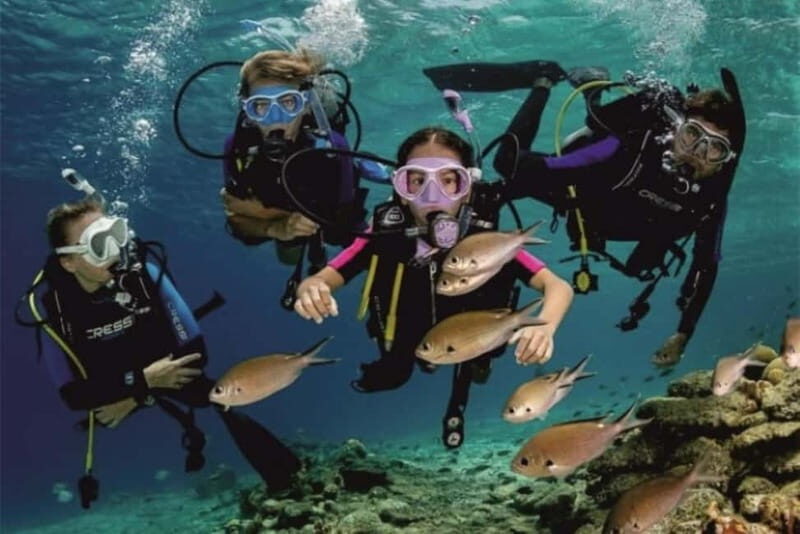 Alanya: Scuba Diving Adventure for Beginners & Professionals - FAQ