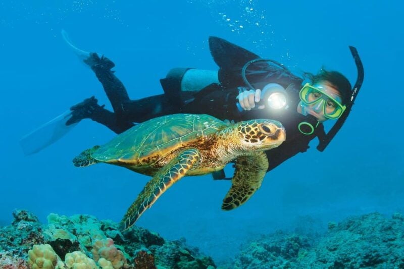 Alanya: Scuba Diving Adventure for Beginners & Professionals - What Makes This Tour Stand Out