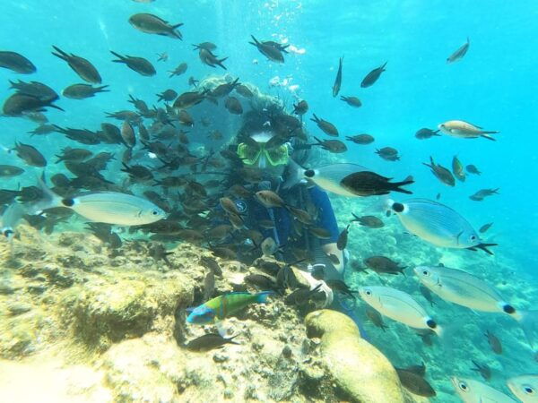 Alanya Scuba Diving Adventure - Safety Guidelines