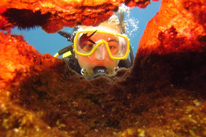 Alanya: Scuba Diving Experience for Beginners - Frequently Asked Questions