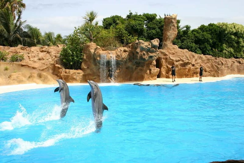 Alanya: Sealanya Dolphinpark Dolphin Show Tour - What to Expect from the Dolphin Show Experience