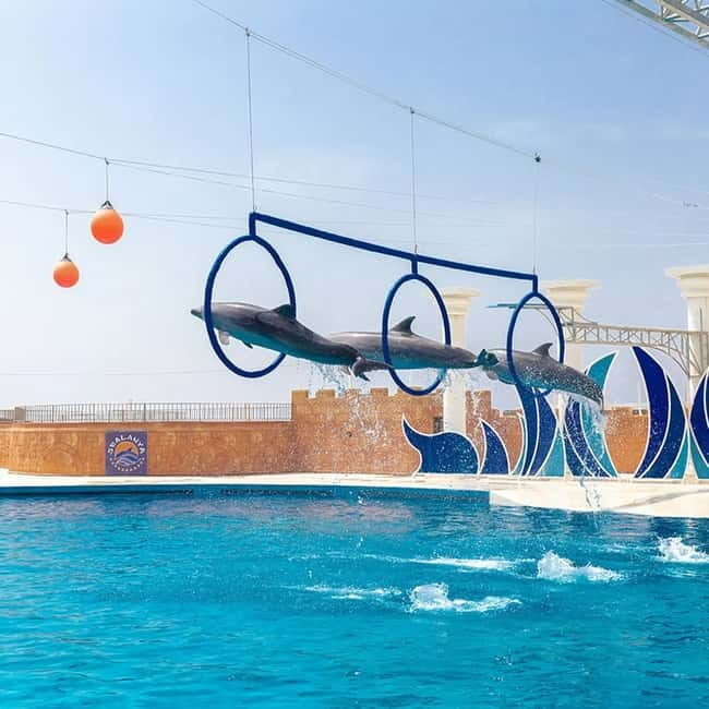 Alanya: Sealanya Dolphinpark Dolphin Show Tour - Practical Details That Matter