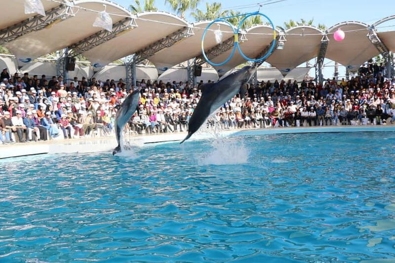 Alanya: Sealanya Dolphinpark Dolphin Show Tour - Who Will Enjoy This Tour Most?