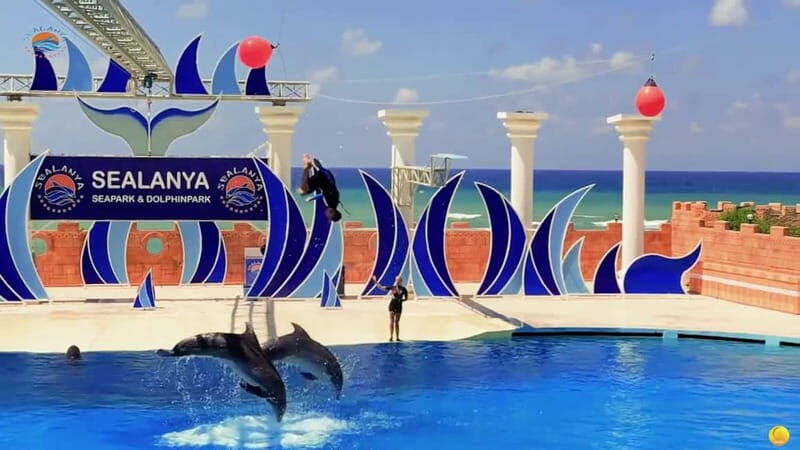 Alanya: Sealanya Dolphinpark Dolphin Show Tour - The Sum Up