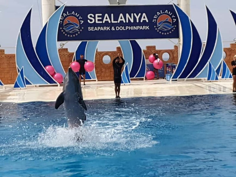 Alanya: Sealanya Dolphinpark Dolphin Show Tour - FAQ