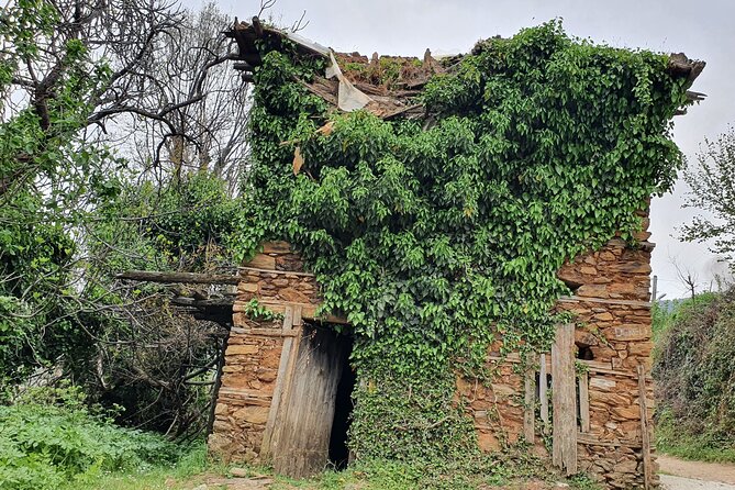 Alanya Traditional Village Private Full-Day Tour W/Lunch - Antalya - Common Questions