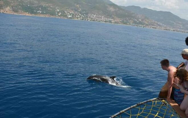 Alanya:Catamaran Tour With Lunch&Soft Drinks Animation Shows - Included Features