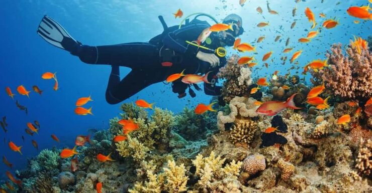 Alanya:Scuba Diving Boat Trip With Lunch and Transfer - Overview of the Trip