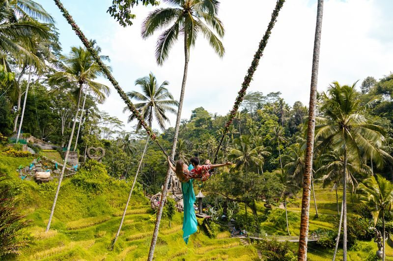 Alas Harum Bali in Tegallalang Ubud - Rice terraces with an adventure-park twist