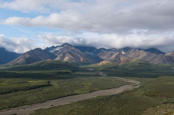 Alaska 9 Day Ocean Wildlife to Interior Wilderness Adventure - Experience Highlights