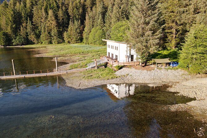 Alaska Bears and Silver Bay Homestead - The Itinerary in Detail