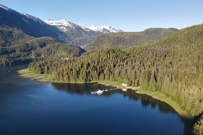 Alaska Bears and Silver Bay Homestead - Practical Details and What to Expect